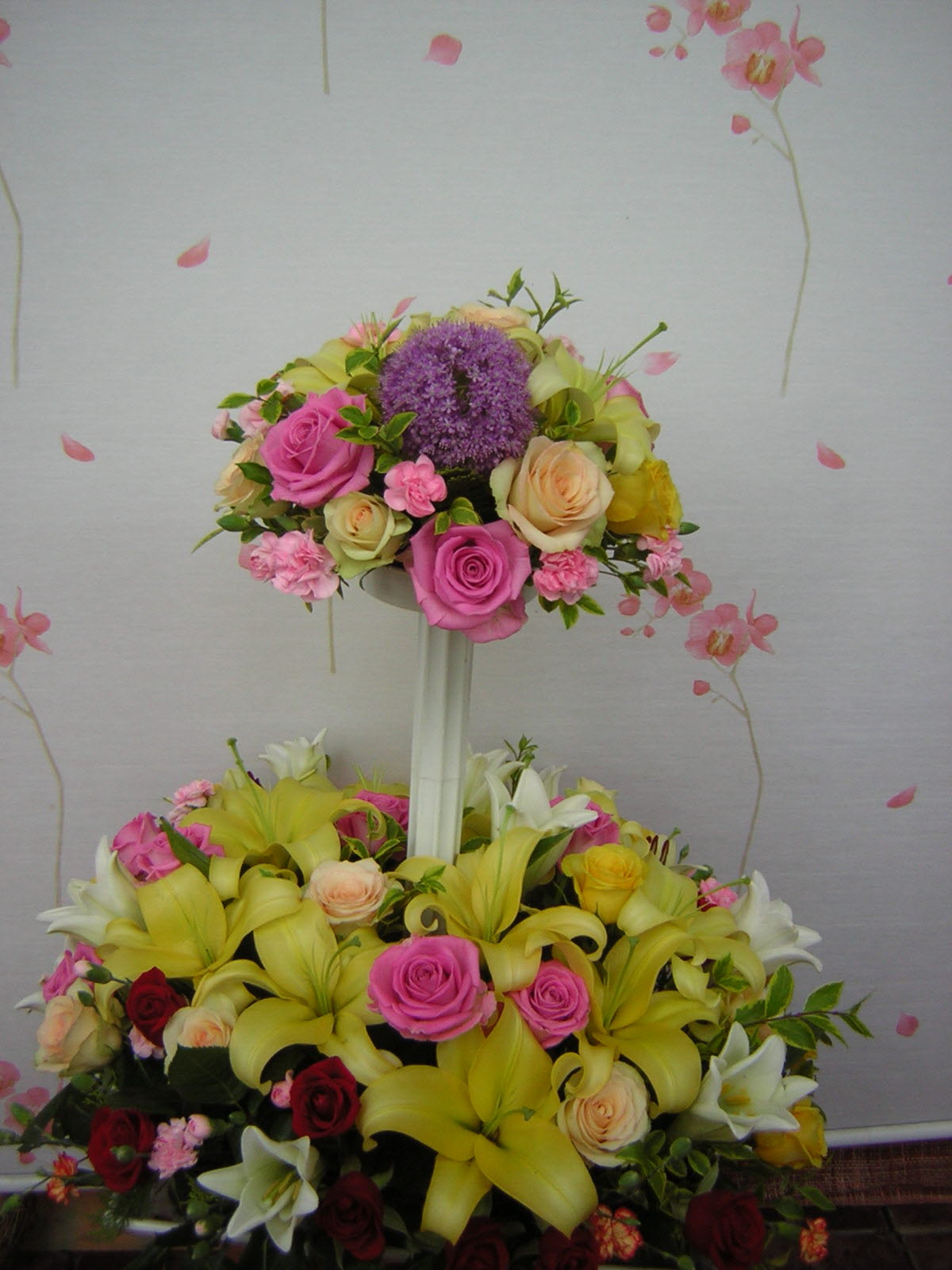 �ɼ����Դϴ�