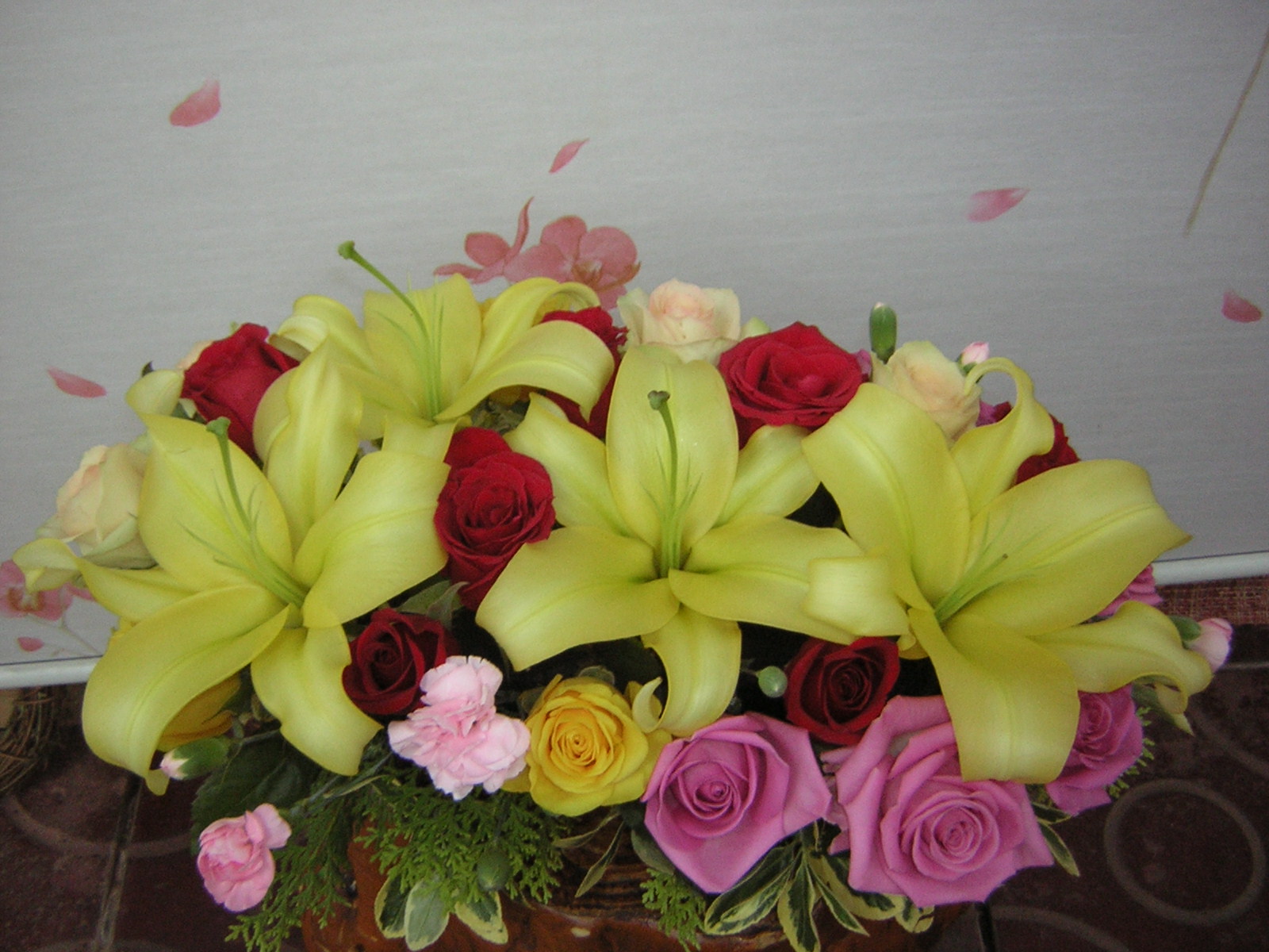 �ɼ����Դϴ�